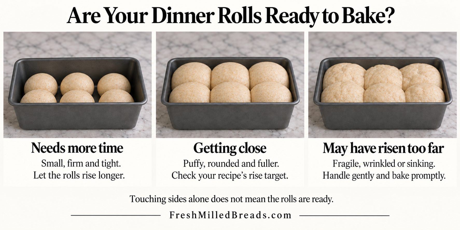 Three pans of dinner rolls showing rolls that need more proofing time, rolls that are getting close to ready, and rolls that may have risen too far
